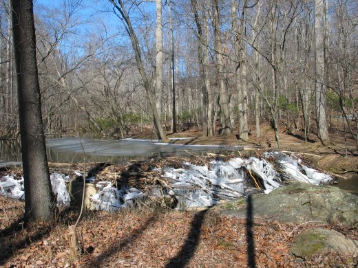 freezing beaver dam